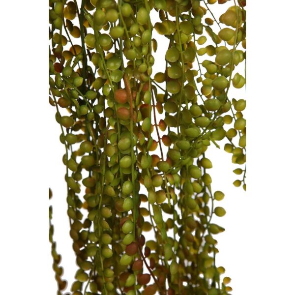 COLGANTE EUCALIPTO 100CM - Imagen 2