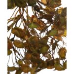 MATA HOJAS 40CM - Imagen 2