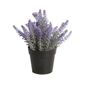 MATA LAVANDA EN MACETA 22CM