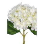 VARA HORTENSIA 50CM - Imagen 2