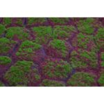 MANTO MUSGO TIERRA SINTETICO 1X1M - Imagen 2