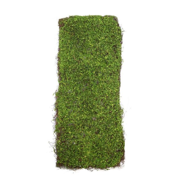 Y0161_0 PLACA BOJO - Imagen 1