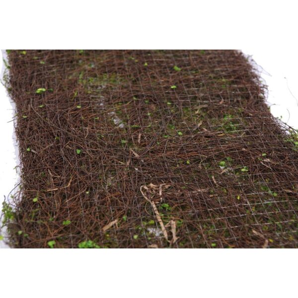 PLACA BOJO - Imagen 3