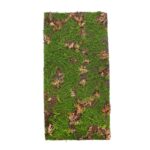 PLACA MUSGO HOJA 100X50CM