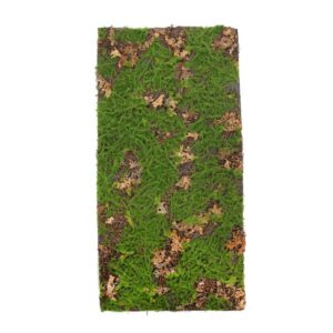 PLACA MUSGO HOJA 100X50CM