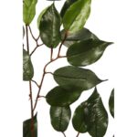 HOJAS DE FICUS 60CM - Imagen 2