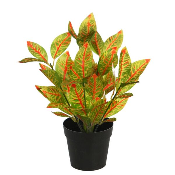 MATA CROTON EN MACETA - Imagen 1