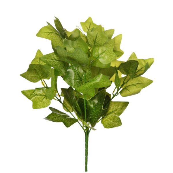 Y0171_0 MATA HIEDRA 35CM - Imagen 1