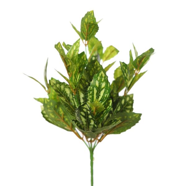 Y0172_0 MATA TRADESCANTIA VERDE 35CM - Imagen 1