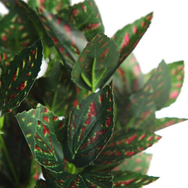 MATA TRADESCANTIA ROJA EN MACETA - Imagen 2