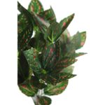 MATA TRADESCANTIA 35CM - Imagen 2