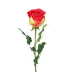 VARA CAPULLO - Imagen 2