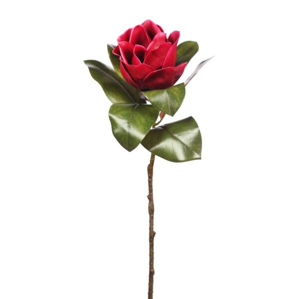 RAMA MAGNOLIA 70CM - Imagen 1