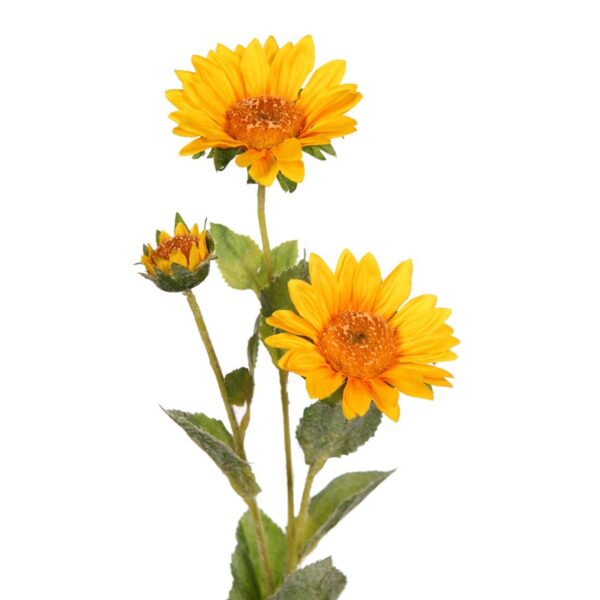 VARA GIRASOL 66CM - Imagen 2