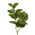 VARA HOJAS - Imagen 2