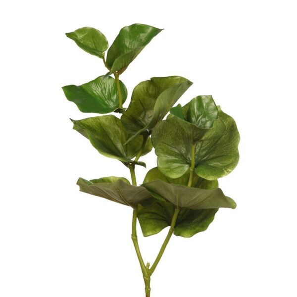 VARA HOJAS - Imagen 2