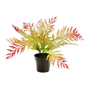 MATA HELECHOSA EN MACETA 33CM