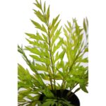 MATA HELECHOSA EN MACETA 33CM - Imagen 4