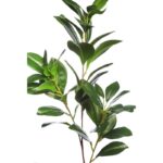 VARA RUSCUS ARTIFICIAL 70CM - Imagen 2