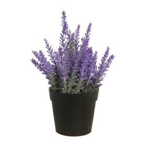 MATA DE LAVANDA EN MACETA 26 CM