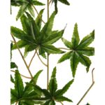RAMA HOJAS SATIVA ARTIFICIAL 67CM - Imagen 2