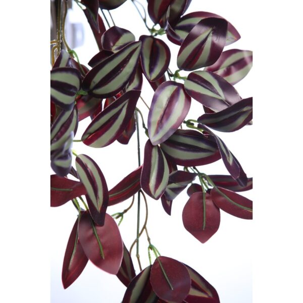PLANTA COLGANTE TRADESCANTIA 50CM - Imagen 2