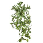 PLANTA COLGANTE TRADESCANTIA 50CM - Imagen 3