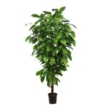 ARBOL ARTIFICIAL MANGO HOJA ANCHA 185CM