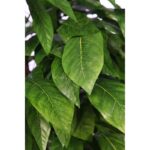 ARBOL ARTIFICIAL MANGO HOJA ANCHA 185CM - Imagen 2