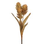 VARA GUZMANIA VINTAGE 74CM