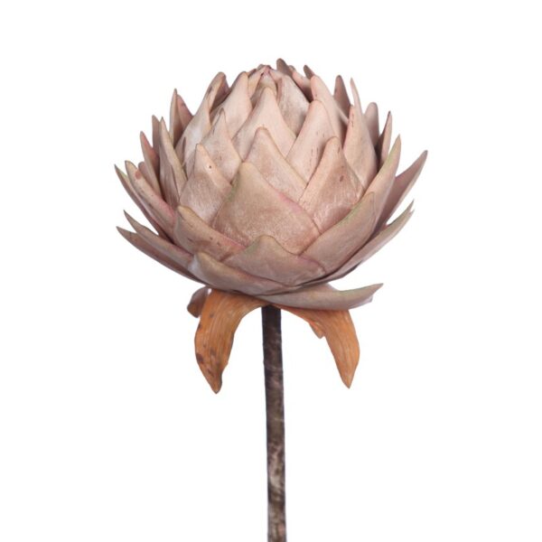 PROTEA VINTAGE GIGANTE 87CM - Imagen 3