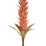 VARA GUZMANIA VINTAGE FOAM 124CM - Imagen 2