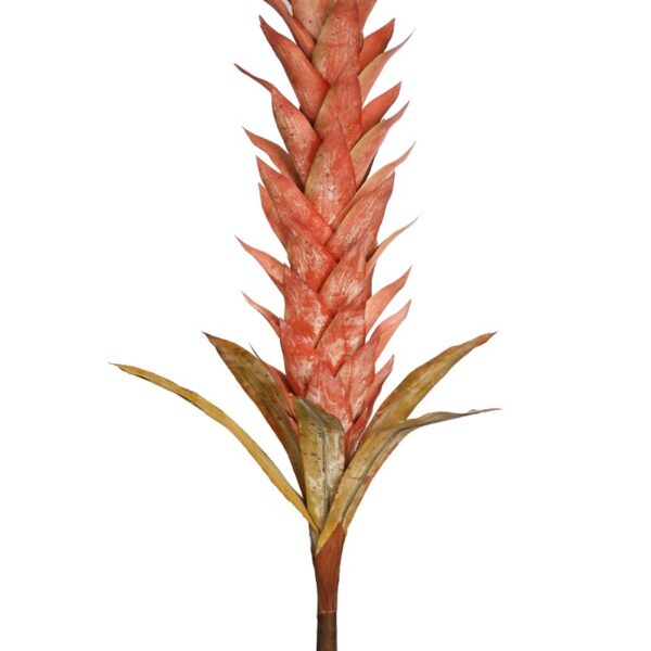 VARA GUZMANIA VINTAGE FOAM 124CM - Imagen 2