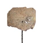 HOJA DE LOTO VINTAGE GIGANTE 97CM - Imagen 4