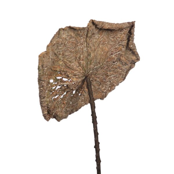 HOJA DE LOTO VINTAGE GIGANTE 97CM - Imagen 5