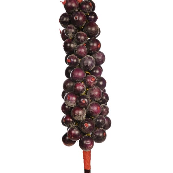 RACIMO FRUTAL GIGANTE 144CM - Imagen 2