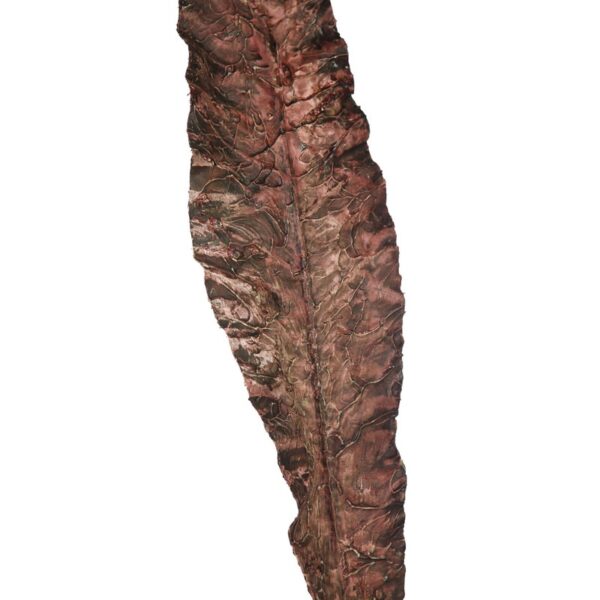 VARA HOJA VINTAGE 103CM - Imagen 2