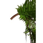 HELECHOSA COLGANTE ARTIFICIAL 110CM - Imagen 4