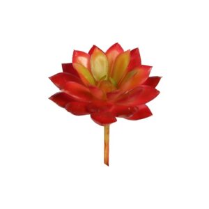 CRASA ECHEVERIA MINI 8CM ARTIFICIAL