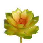 CRASA ECHEVERIA MINI 8CM ARTIFICIAL - Imagen 4