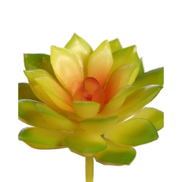 CRASA ECHEVERIA MINI 8CM ARTIFICIAL - Imagen 4