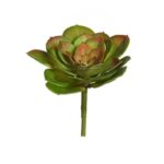 CRASA ECHEVERIA TESENSIS ARTIFICIAL 10CM