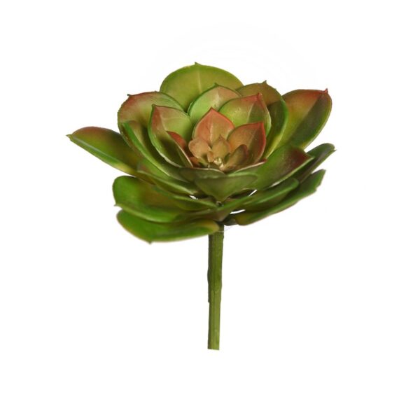 Y0629.28_0 CRASA ECHEVERIA TESENSIS ARTIFICIAL 10CM - Imagen 1