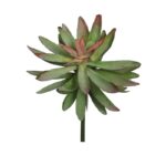 PLANTA CRASA ECHEVERIA HOOKERI ARTIFICIAL 17CM - Imagen 3