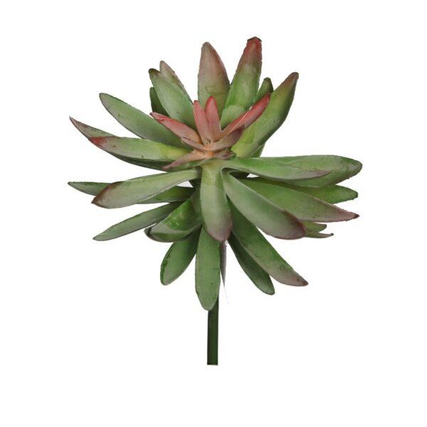 PLANTA CRASA ECHEVERIA HOOKERI ARTIFICIAL 17CM - Imagen 3