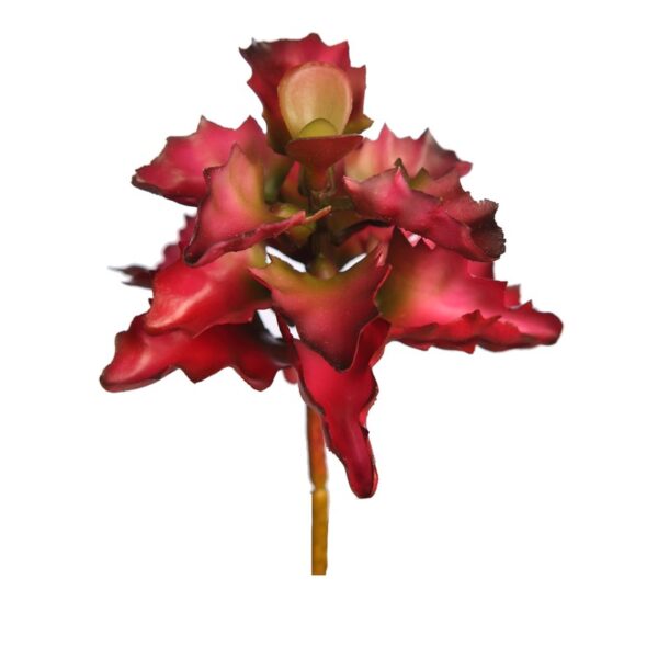 Y0635.03_0 PLANTA SUCULENTA SHAVIANA ARTIFICIAL 14CM - Imagen 1