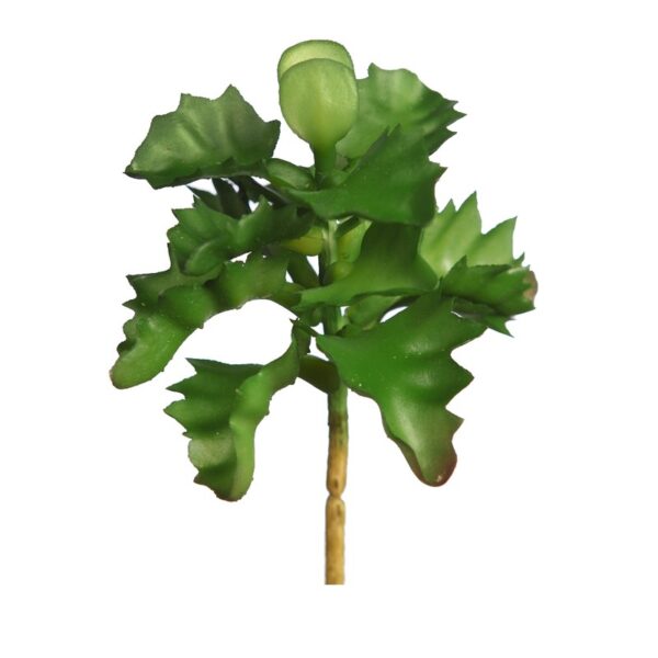 PLANTA SUCULENTA SHAVIANA ARTIFICIAL 14CM - Imagen 3