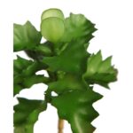 PLANTA SUCULENTA SHAVIANA ARTIFICIAL 14CM - Imagen 4