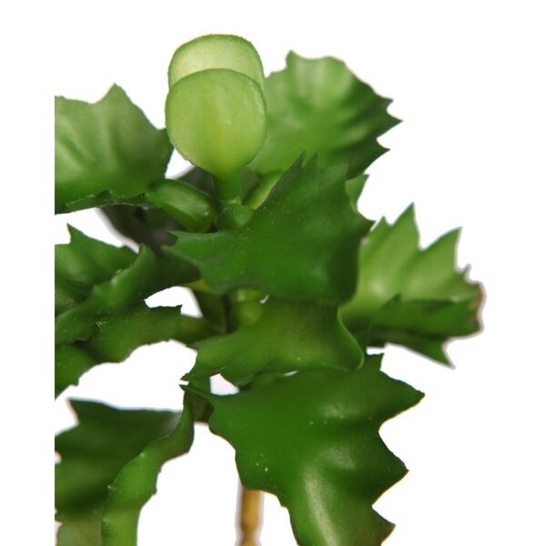 PLANTA SUCULENTA SHAVIANA ARTIFICIAL 14CM - Imagen 4