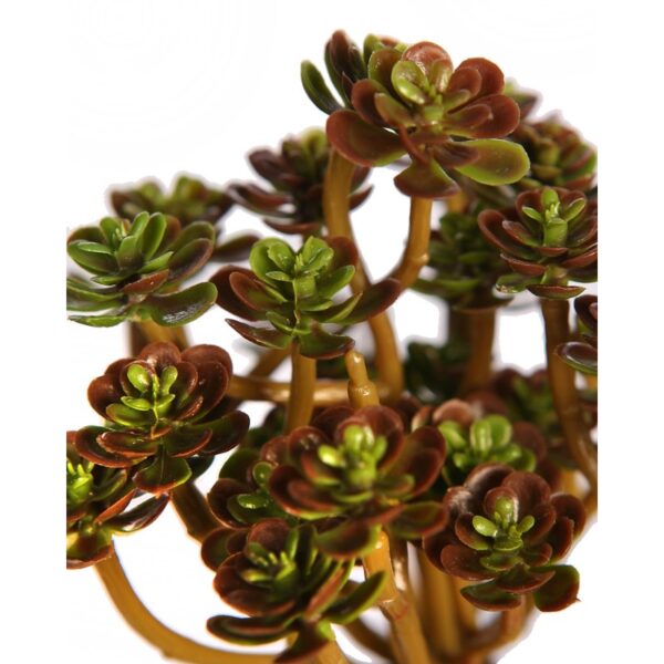 SUCULENTA ECHEVERIA ARTIFICIAL 13CM - Imagen 5